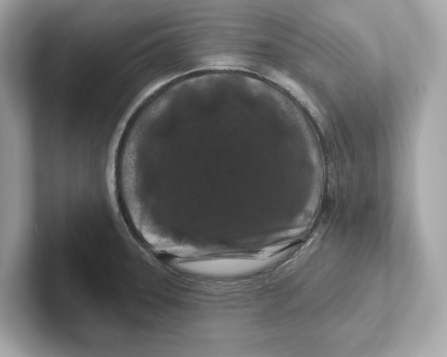 X0000101091331200807241000