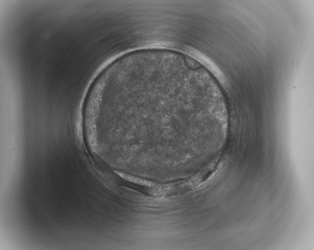 X0000101091332200807241000