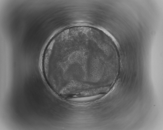 X0000101091333200807241000