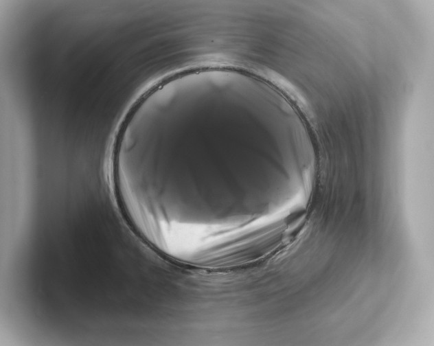 X0000101091334200807241000