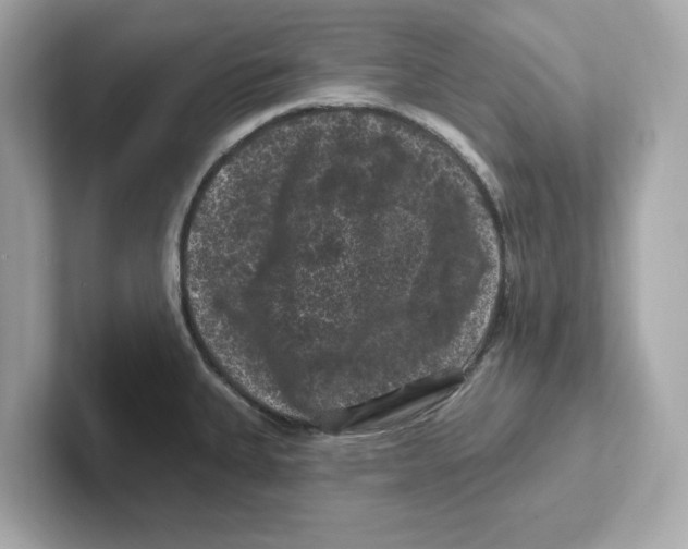 X0000101091335200807241000