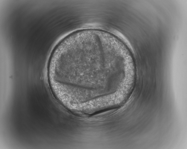 X0000101091336200807241000