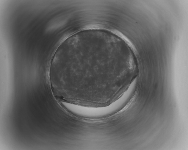 X0000101091337200807241000