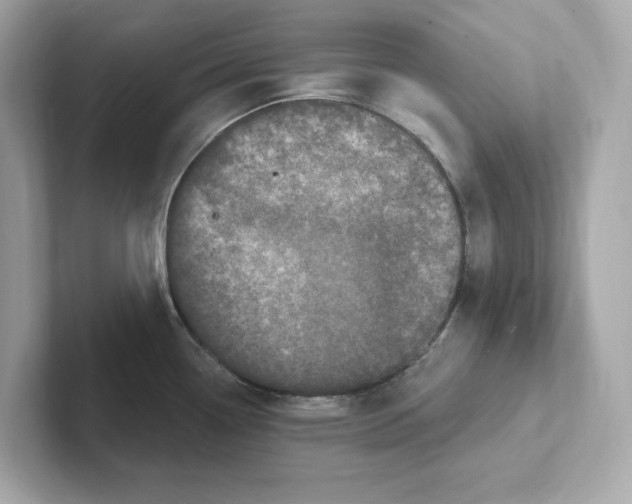 X0000101091338200807241000