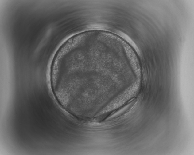 X0000101091339200807241000