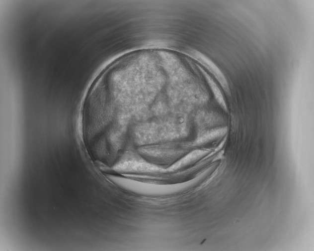 X0000101091340200807241000