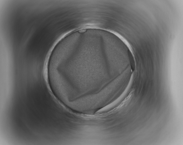 X0000101091341200807241000