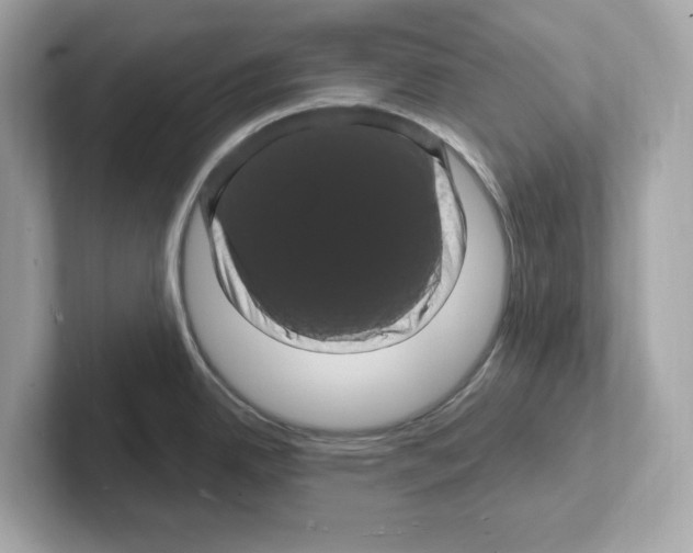 X0000101091342200807241000