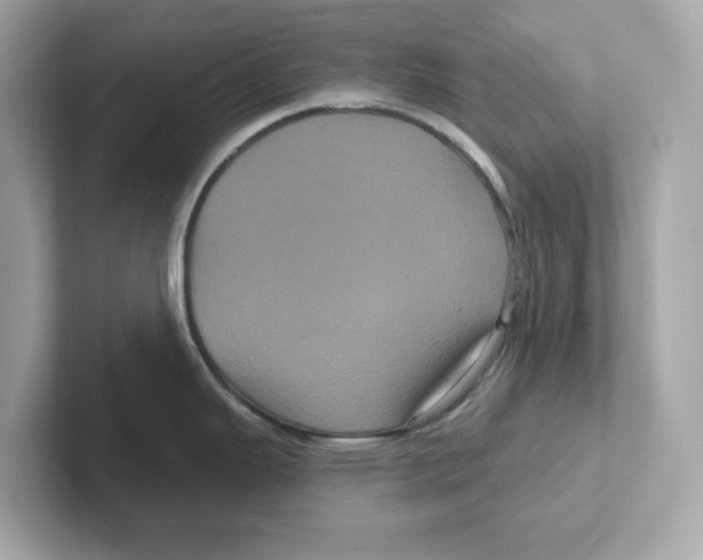 X0000101091343200807241000