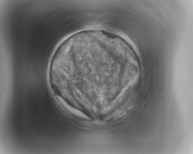 X0000101091344200807241000