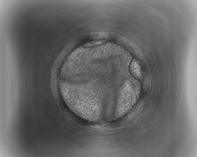 X0000101091345200807240959