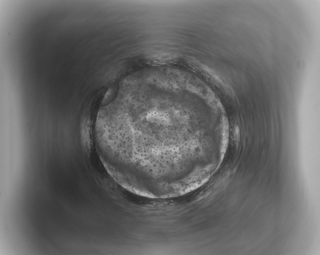 X0000101091346200807240959