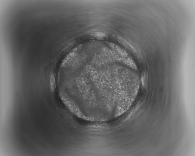 X0000101091347200807240959