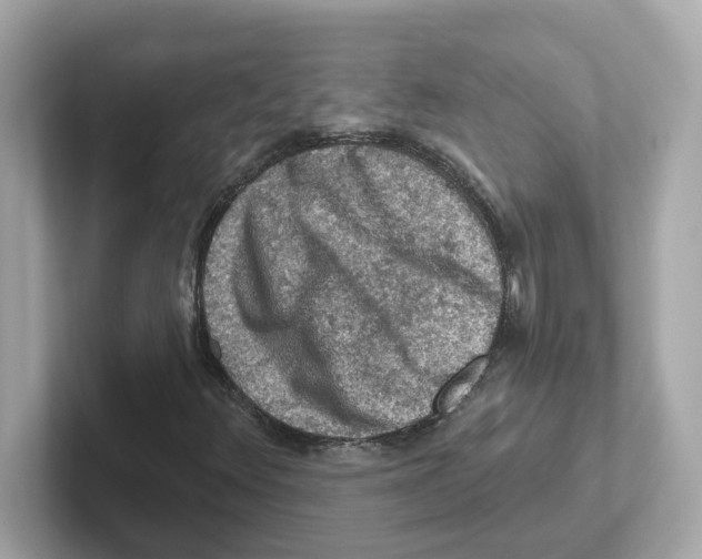 X0000101091348200807240959