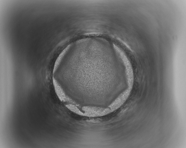 X0000101091351200807240959