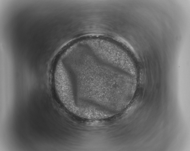 X0000101091352200807240959