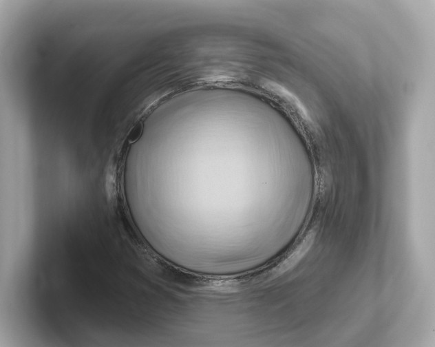 X0000101091353200807240959