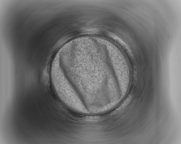 X0000101091354200807240959