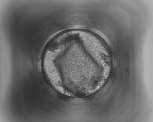 X0000101091356200807240959