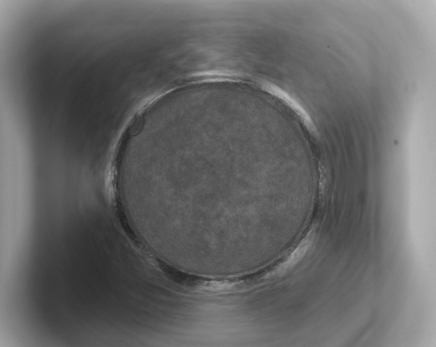 X0000101091357200807240959