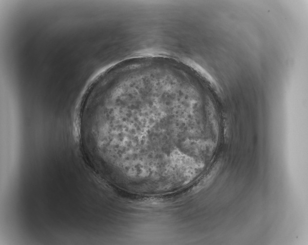 X0000101091358200807240959