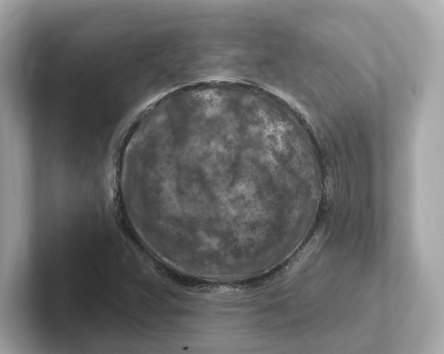 X0000101091359200807240959