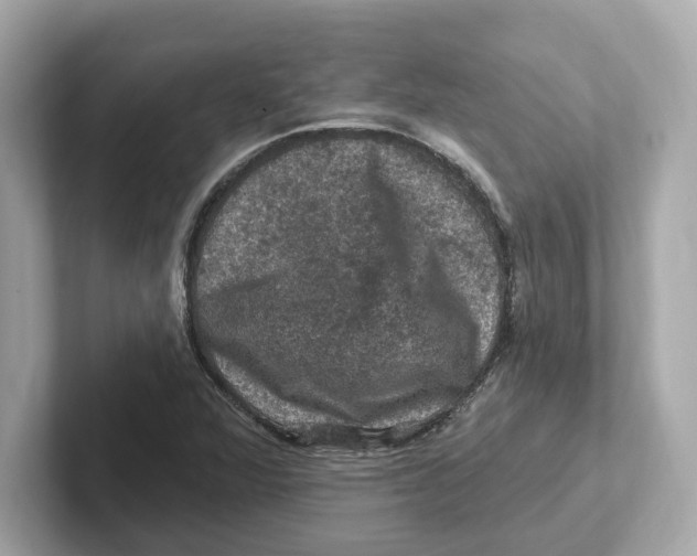 X0000101091360200807240959