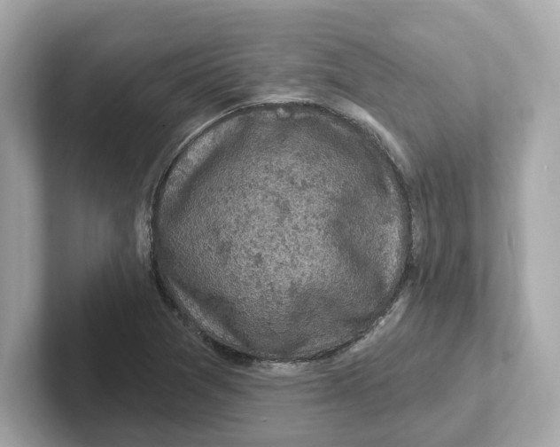 X0000101091361200807240959