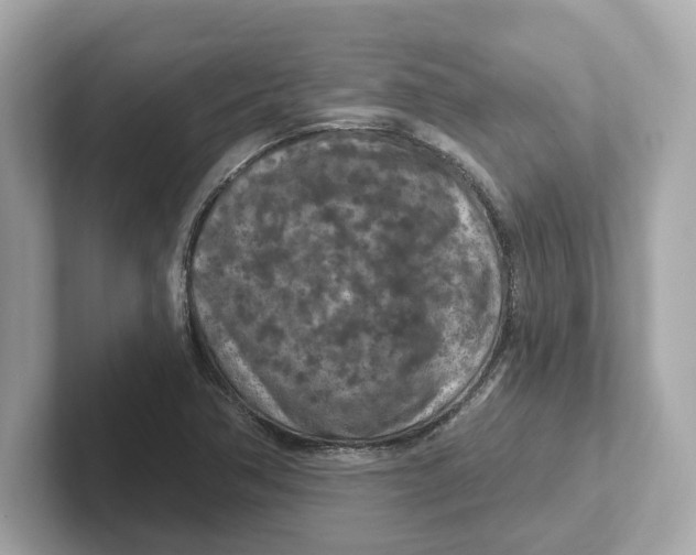 X0000101091362200807240959