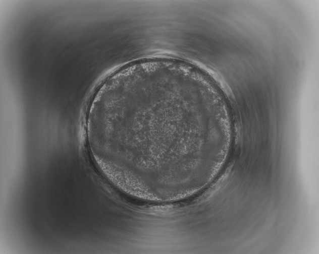 X0000101091363200807240959