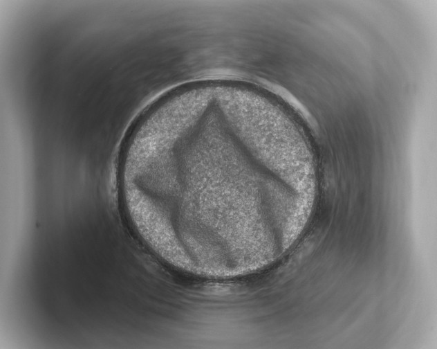 X0000101091364200807240959