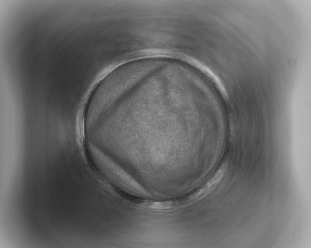 X0000101091365200807240959