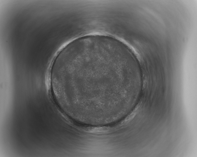 X0000101091367200807240959