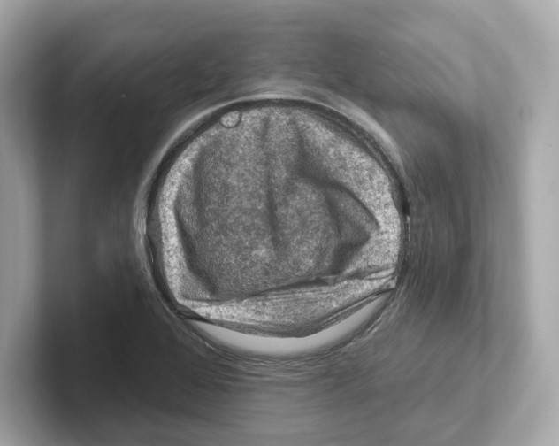 X0000101091368200807240959