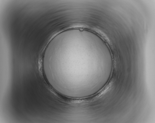 X0000101091369200807240959