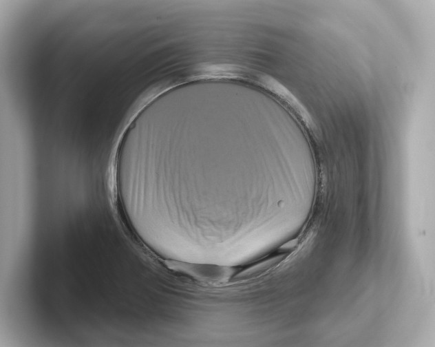 X0000101091370200807240959