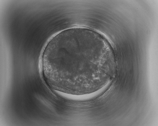 X0000101091371200807240959