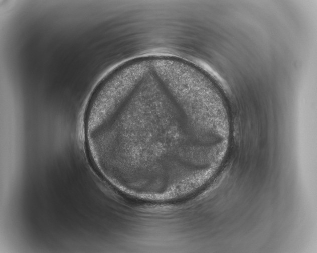 X0000101091372200807240959