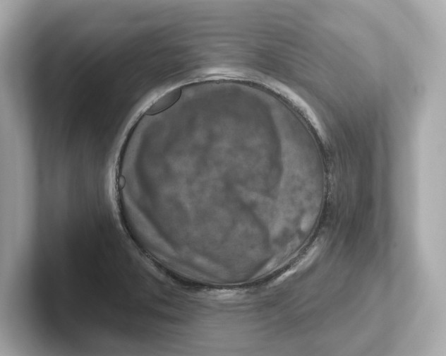 X0000101091373200807240959