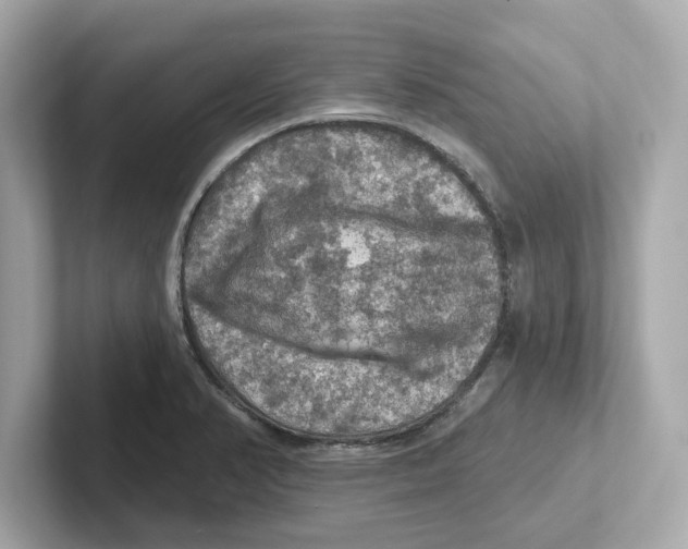 X0000101091374200807240959