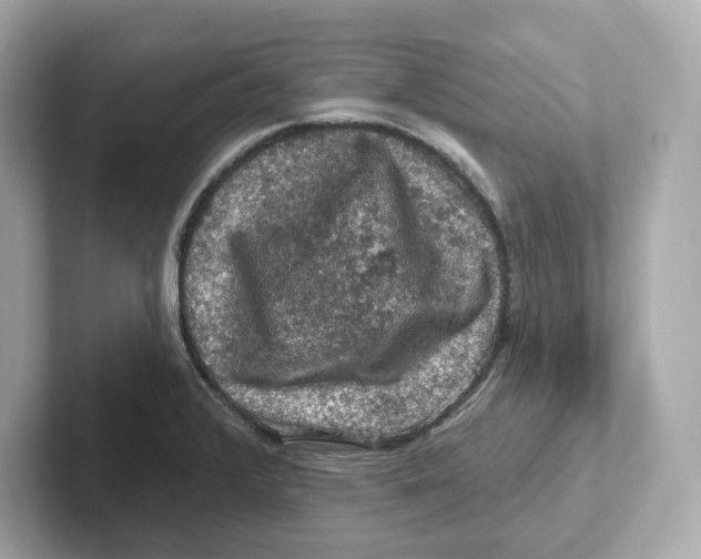 X0000101091376200807240959