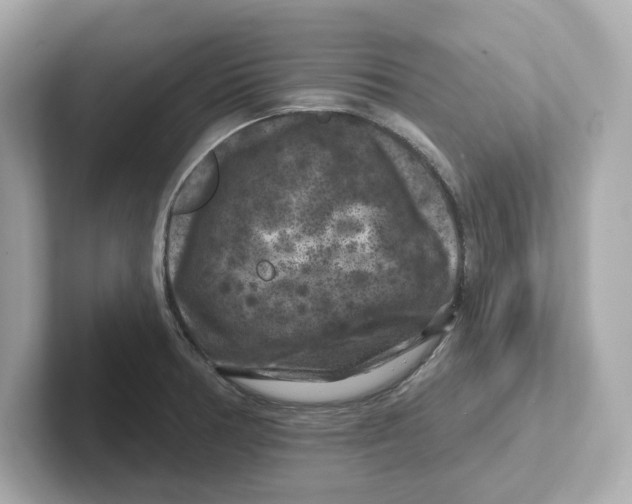 X0000101091378200807240959