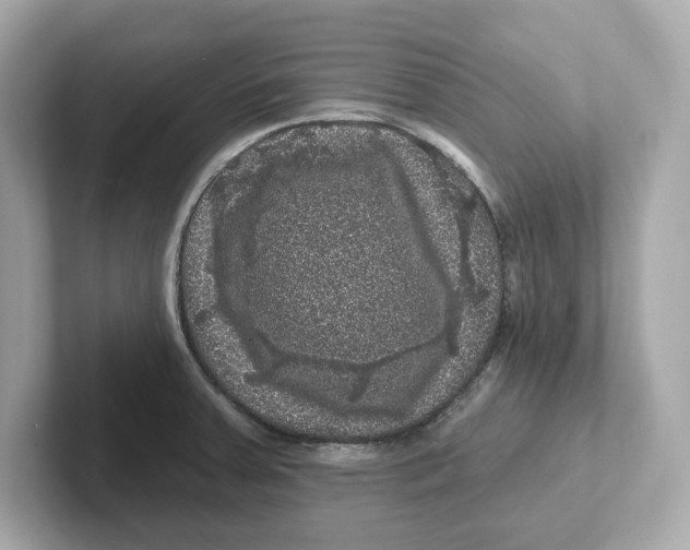 X0000101091379200807240959