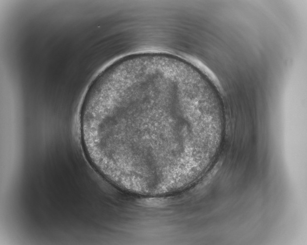 X0000101091380200807240959