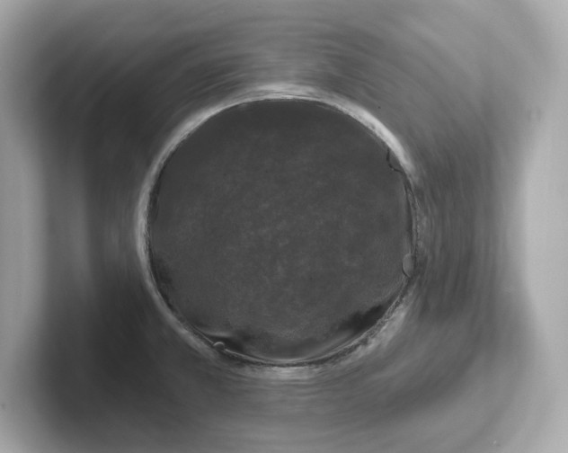 X0000101091381200807240959