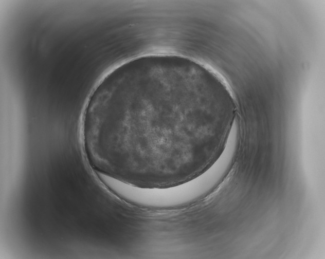 X0000101091382200807240959