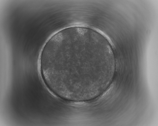 X0000101091383200807240959