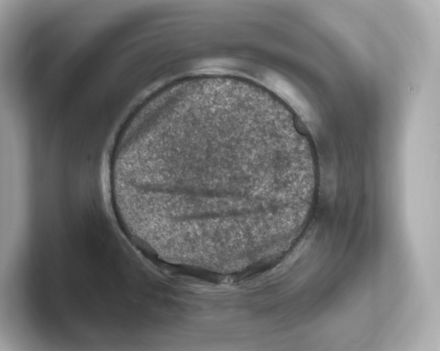 X0000101091384200807240959