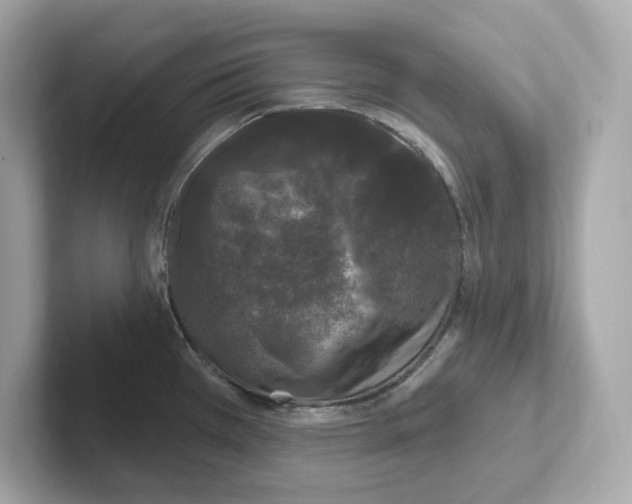 X0000101091385200807240959