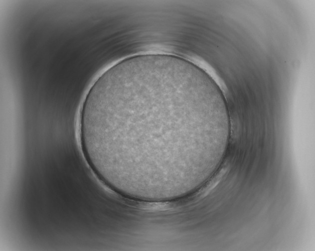 X0000101091387200807240959